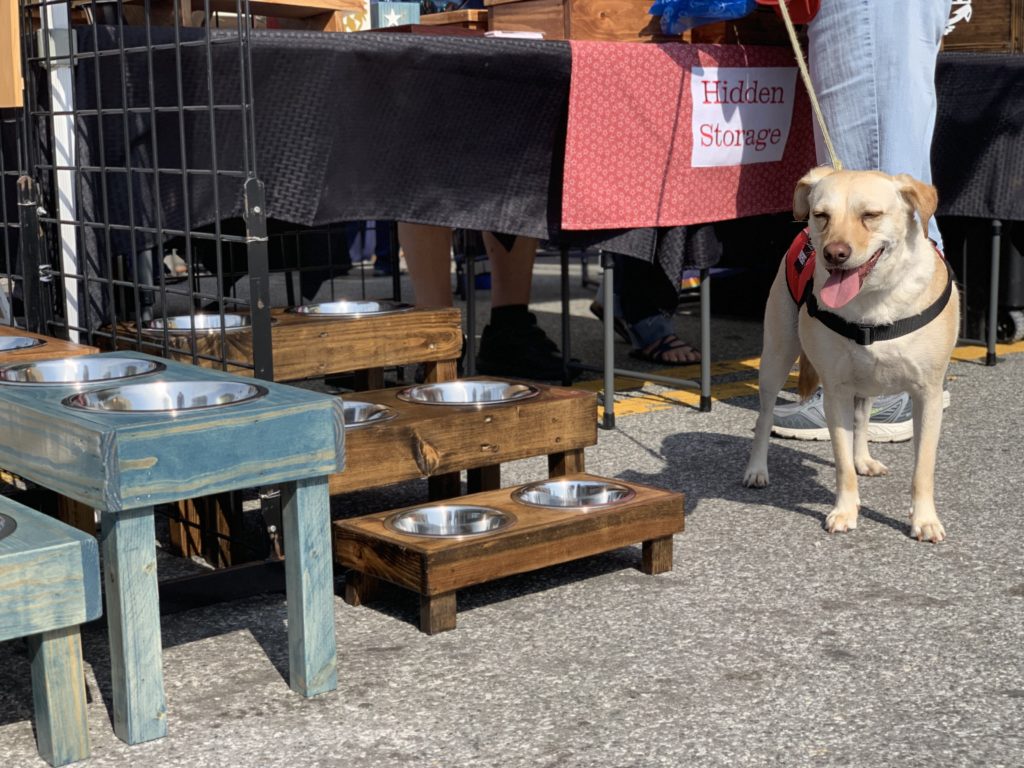 dog at market