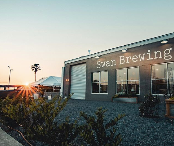 swan brewing